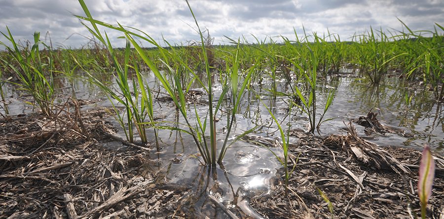 Soil Health Profiles