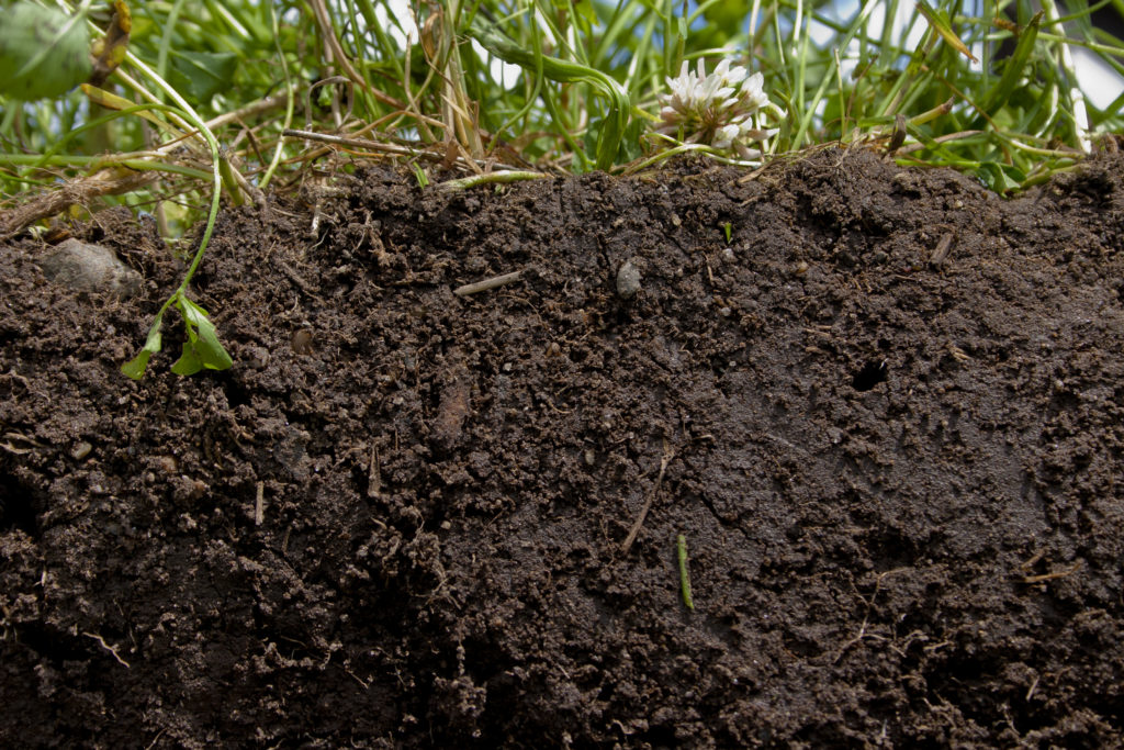 Soil Health