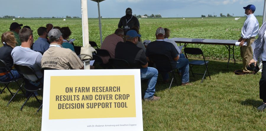 Understanding Budget Implications of Cover Crops
