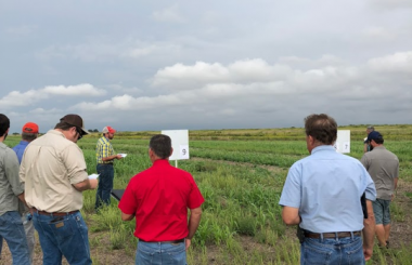 ISAP Seeks Facilitators to Lead Farmer-to-Farmer Peer Networks