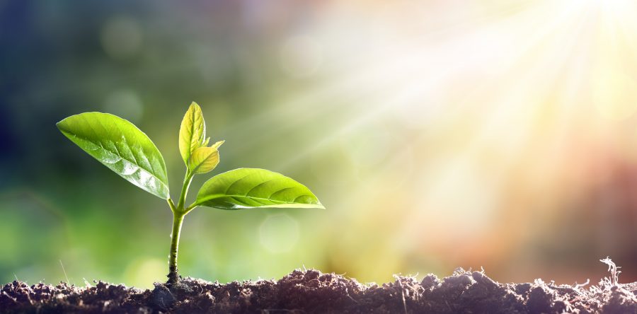 Illinois Sustainable Agriculture Partnership Celebrates the Success of Our 2020 Risk Management Webinar Series