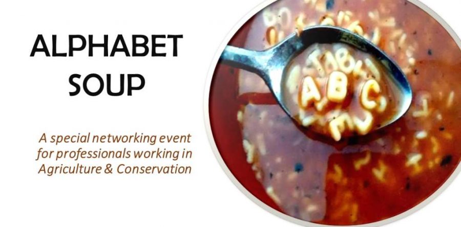 Alphabet Soup is Happening Soon!