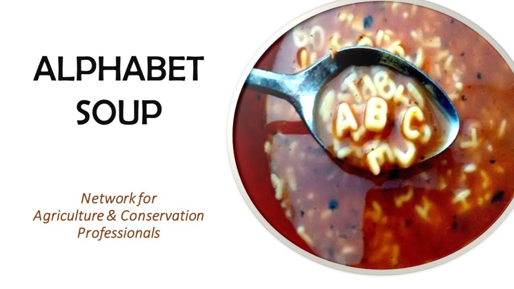 alphabet soup logo