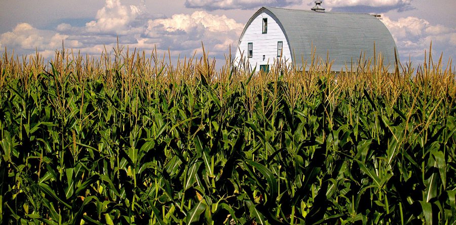 Illinois Sustainable Agriculture Partnership Releases Carbon Farming Guide Resource
