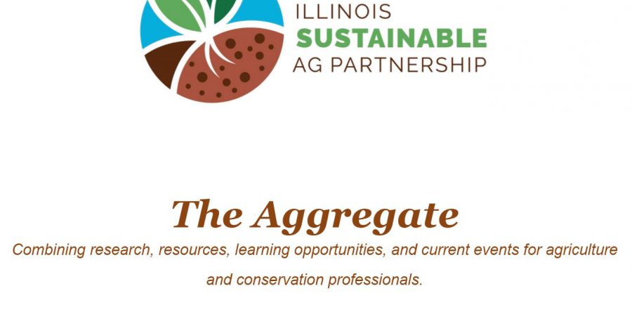 The Aggregate – November 2020