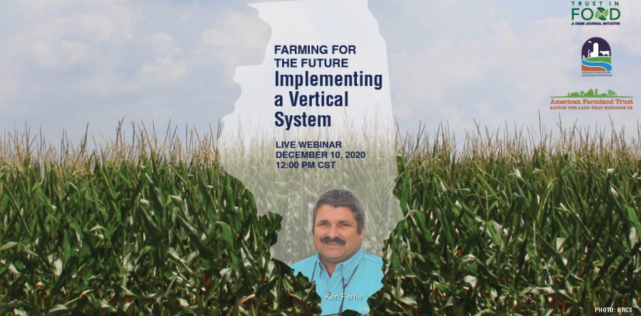 Farming for the Future: Implementing a Vertical System