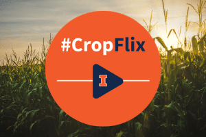 CropFlix Website Slider_200x300