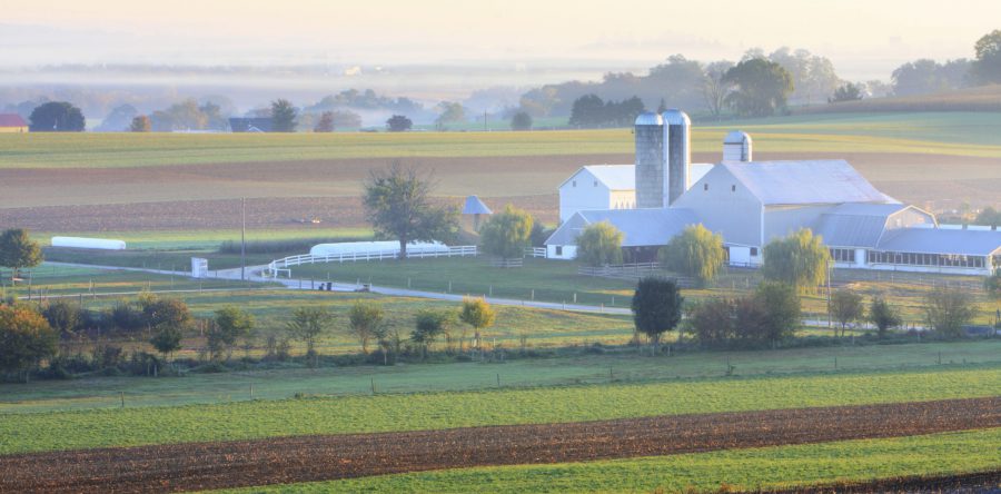 ISAP Releases Annual Report