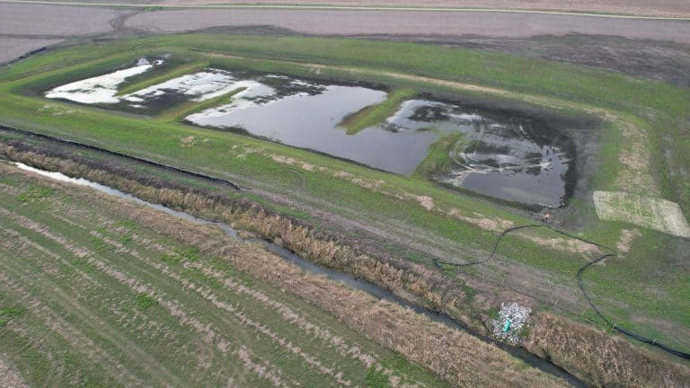 default A temporary cover has been planted over the wetland and the surrounding buffer to reduce potential erosion and weed problems until the native seed mixtures are planted this winter.