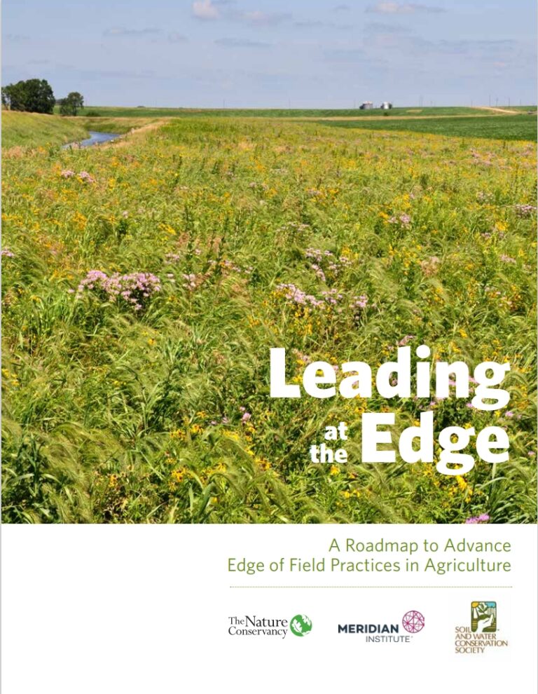 Leading at the Edge Leading at the Edge