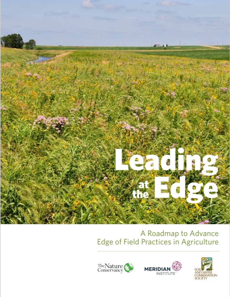 Leading at the Edge