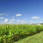 Soil health