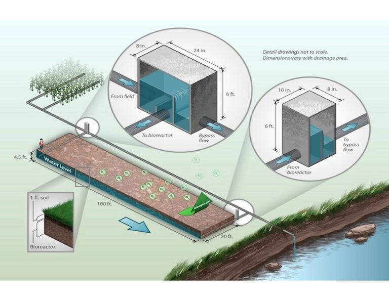 Bioreactor-schematic-by-John-Peterson-courtesy-ISU-extension-768x595 Bioreactor-schematic-by-John-Peterson-courtesy-ISU-extension-768x595