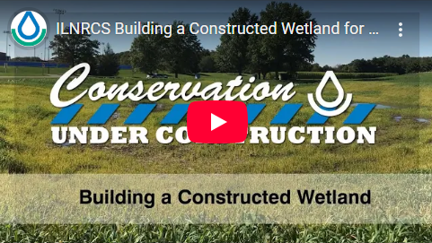 ILNRCS Constructed Wetlands Video ILNRCS Constructed Wetlands Video