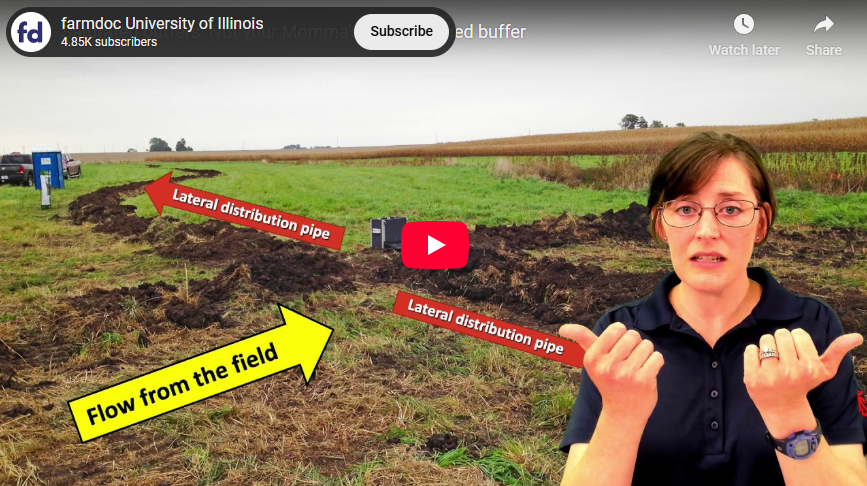Saturated Buffer Video