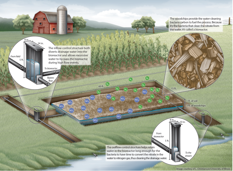 Woodchip Bioreactor University of Illinois Woodchip Bioreactor University of Illinois