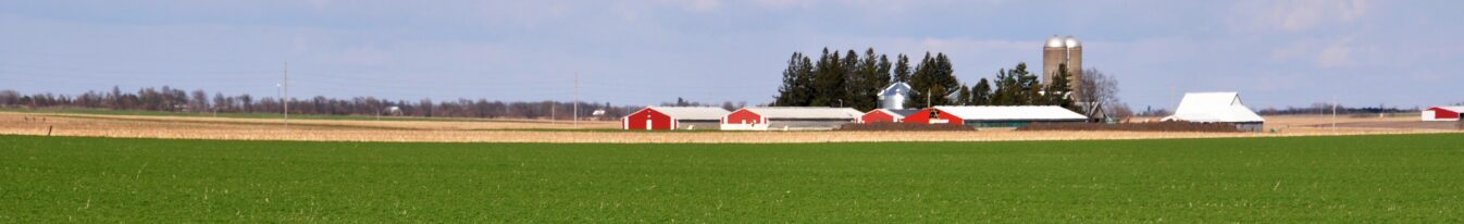 Cover crops on Rob Stout farm. Stout is  a long-time no-tiller and has used cover crops for a number of years on his  farm in Washington County, IA.