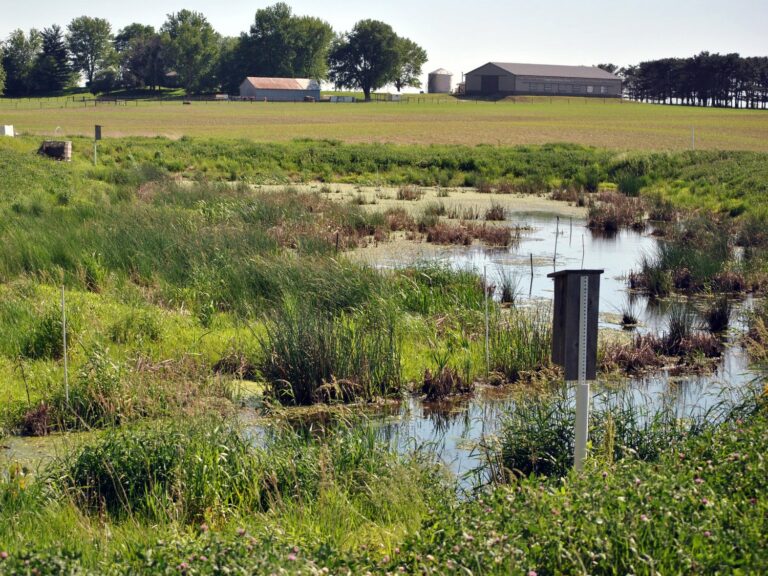 twi wetland 2 twi wetland 2
