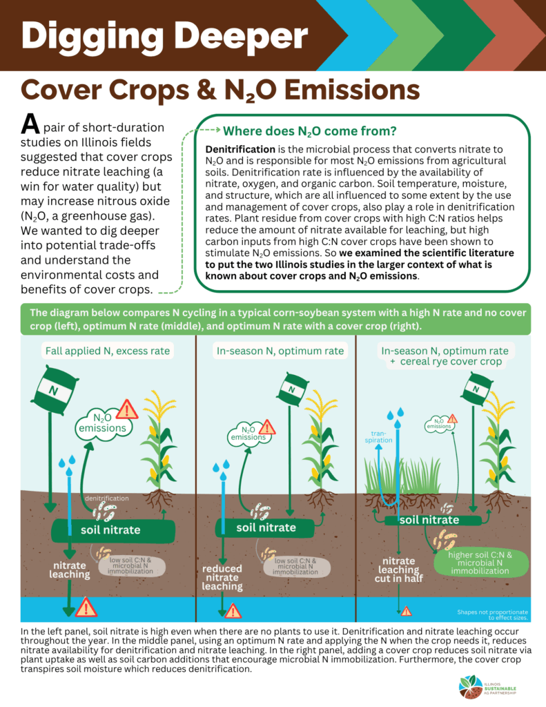 Digging Deeper Cover crops & N2O emissions