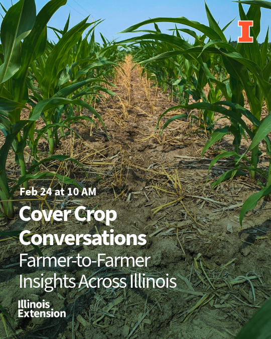Cover Crop Conversations Farmer to Farmer Insights Across Illinois Feb 24-1-Social Media Post 1080x1350(1)