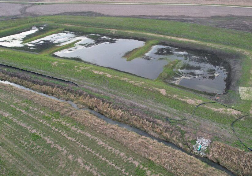 A temporary cover has been planted over the wetland and the surrounding buffer to reduce potential erosion and weed problems until the native seed mixtures are planted this winter.